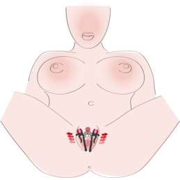 La Boutique del Piacere|Clip per labbra vaginali29,51 €Morsetti e nipples per parti intime