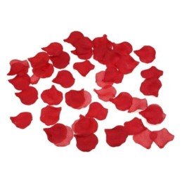 La Boutique del Piacere|Petali rossi11,48 €Confezioni regalo