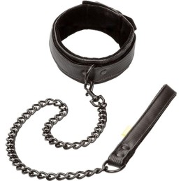 Collare e guinzaglio calex