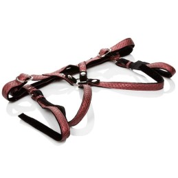Harness reale