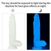 Dildo 26 cm luminoso