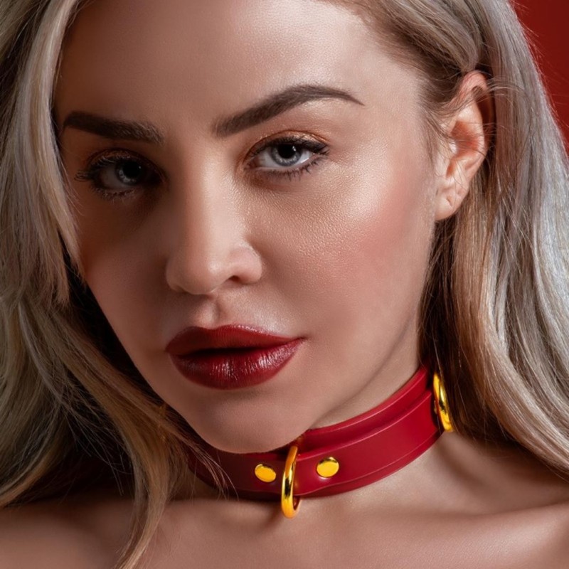 Collare D-Ring Deluxe