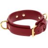 Collare D-Ring Deluxe