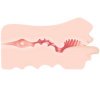 La Boutique del Piacere|Masturbatore maschile bocca che parla38,52 €Masturbatore uomo a forma di bocca in silicone