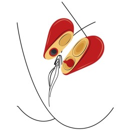Stimolatore vaginale rubacuori 2 in 1